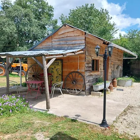 La Chouette Etoilee *