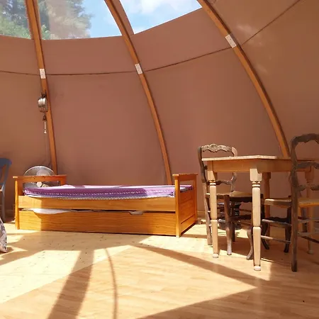 La Chouette Etoilee *