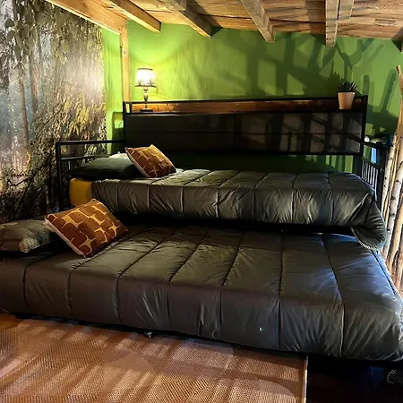 La Decouverte Trouvee Auxon (Aube)