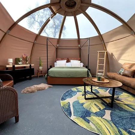 La Decouverte Trouvee *