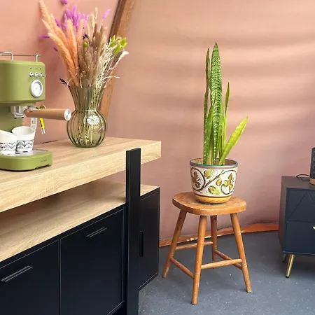 Bed and Breakfast La Decouverte Trouvee Auxon (Aube)