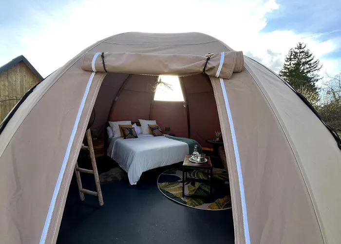 La Découverte Trouvée Couette-café