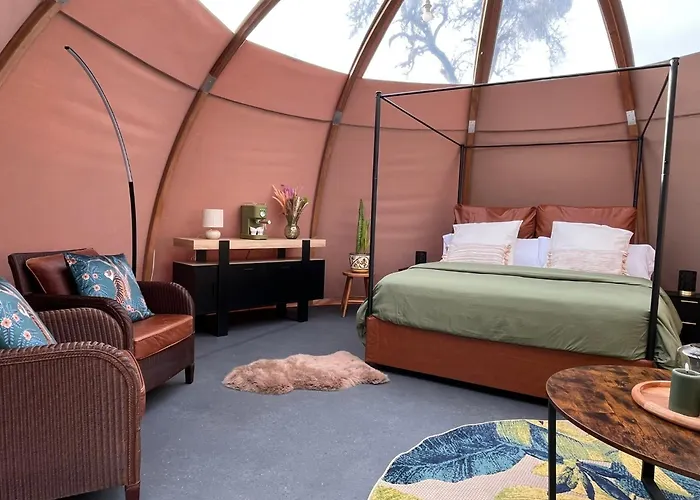 Couette-café La Découverte Trouvée Auxon (Aube)