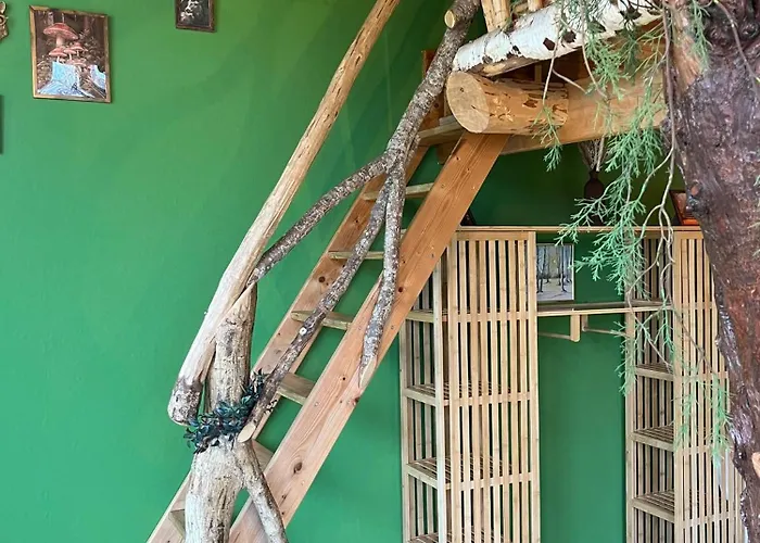 La Découverte Trouvée Couette-café